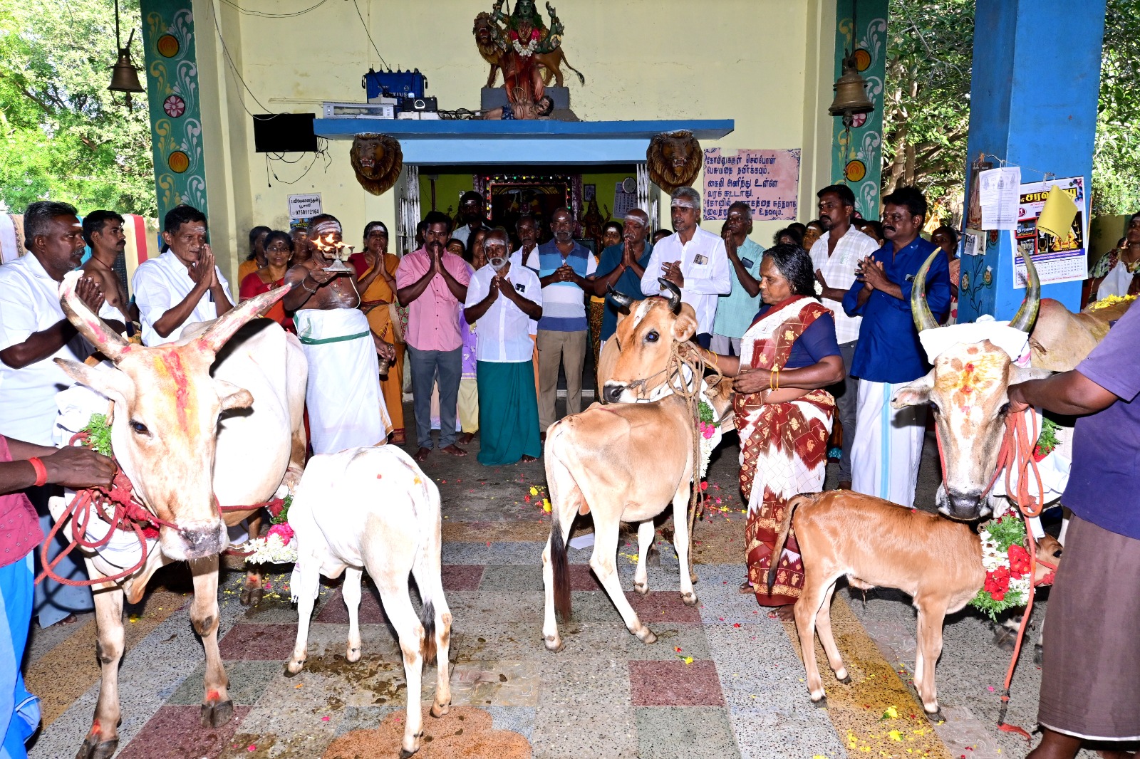 திருப்புத்தூர் ராஜகாளியம்மன் கோயிலில் ஆடி வெள்ளி கோபூஜை வழிபாடு