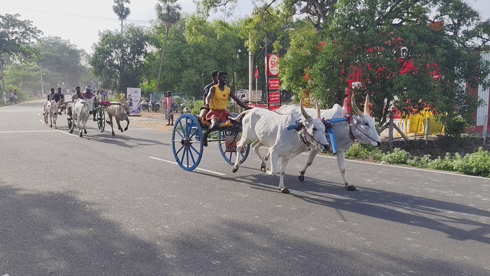 திருப்புத்தூரில் இந்திய சுதந்திரப் போராட்ட வீரர் அழகு முத்துக்கோனின் 269-வது குருபூஜை விழாவை முன்னிட்டு நடைபெற்ற மாட்டுவண்டி பந்தயத்தில் 55 ஜோடி மாடுகள் பங்கேற்பு!