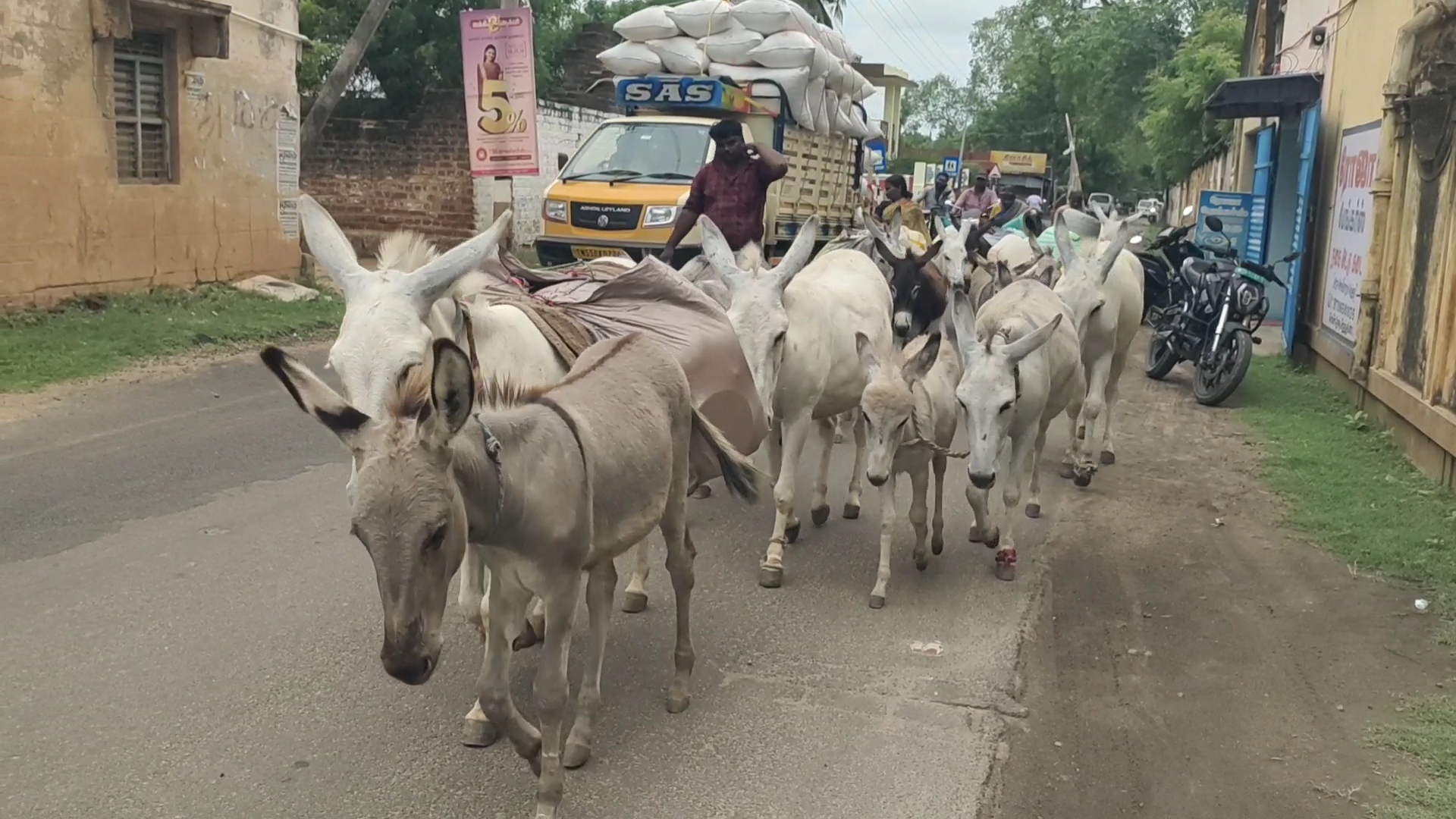 ஊர் ஊராகச் சென்று கழுதைப்பால் விற்பனை செய்யும் நாடோடிக் குடும்பத்தினர்! 